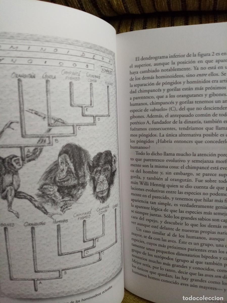 Libros de segunda mano: EL COLLAR DEL NEANDERTAL - Foto 13