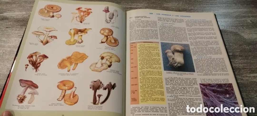 Libros de segunda mano: La vida de las plantas Argos Volumen 11 - Foto 9
