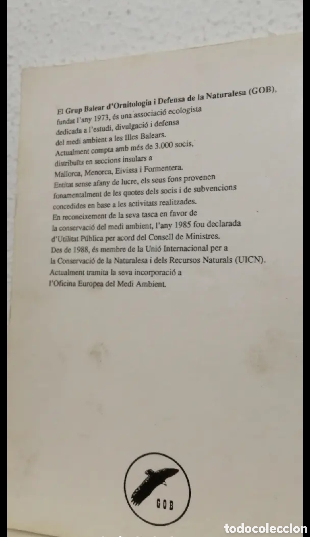 Libros de segunda mano: Anuari Ornitol&ograve;gic de les Balears Edici&oacute; 1989. GOB. Aus cens - Foto 2