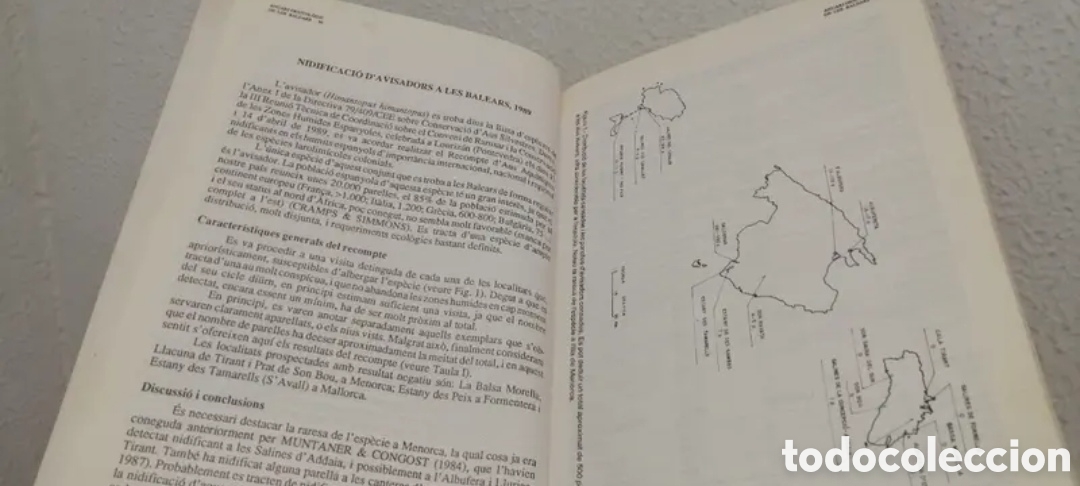 Libros de segunda mano: Anuari Ornitol&ograve;gic de les Balears Edici&oacute; 1989. GOB. Aus cens - Foto 4