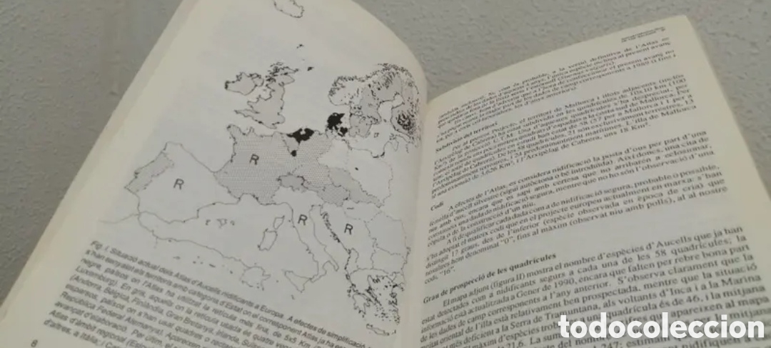 Libros de segunda mano: Anuari Ornitol&ograve;gic de les Balears Edici&oacute; 1989. GOB. Aus cens - Foto 7