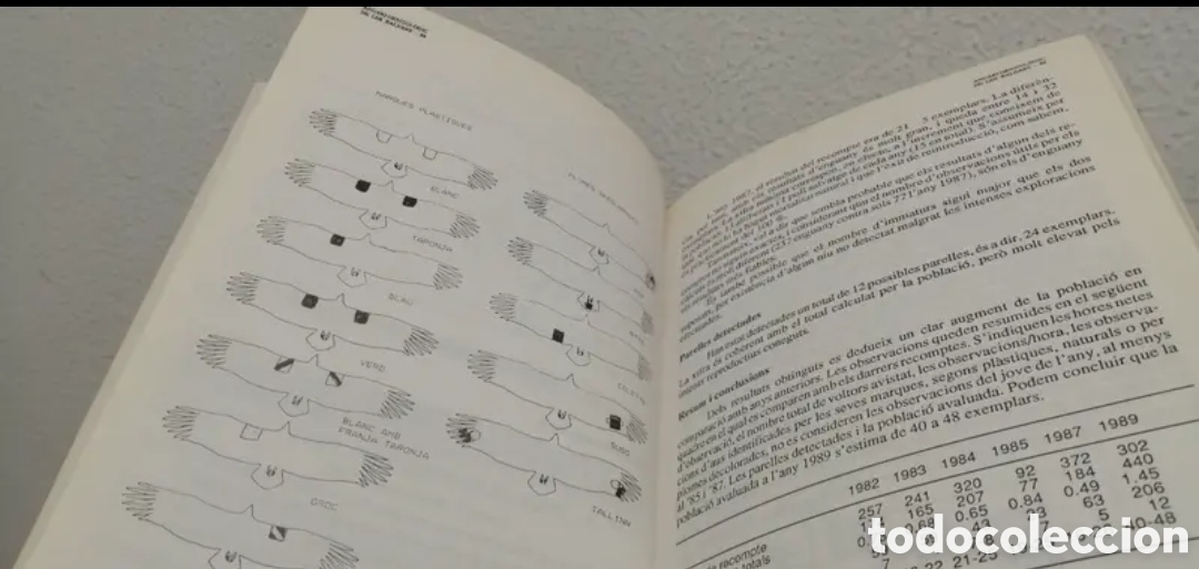 Libros de segunda mano: Anuari Ornitol&ograve;gic de les Balears Edici&oacute; 1989. GOB. Aus cens - Foto 8