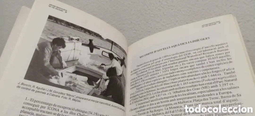 Libros de segunda mano: Anuari Ornitol&ograve;gic de les Balears Edici&oacute; 1989. GOB. Aus cens - Foto 9