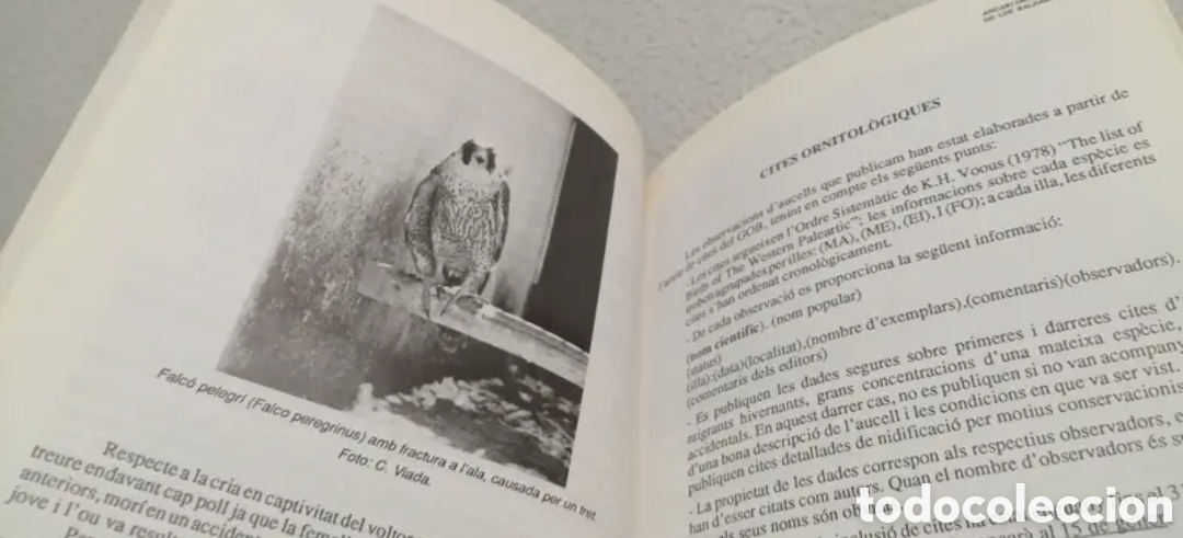 Libros de segunda mano: Anuari Ornitol&ograve;gic de les Balears Edici&oacute; 1989. GOB. Aus cens - Foto 10