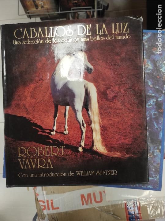Libros de segunda mano: Caballos de la luz. Robert Vavra. Introducci&oacute;n William Shatner - Foto 1