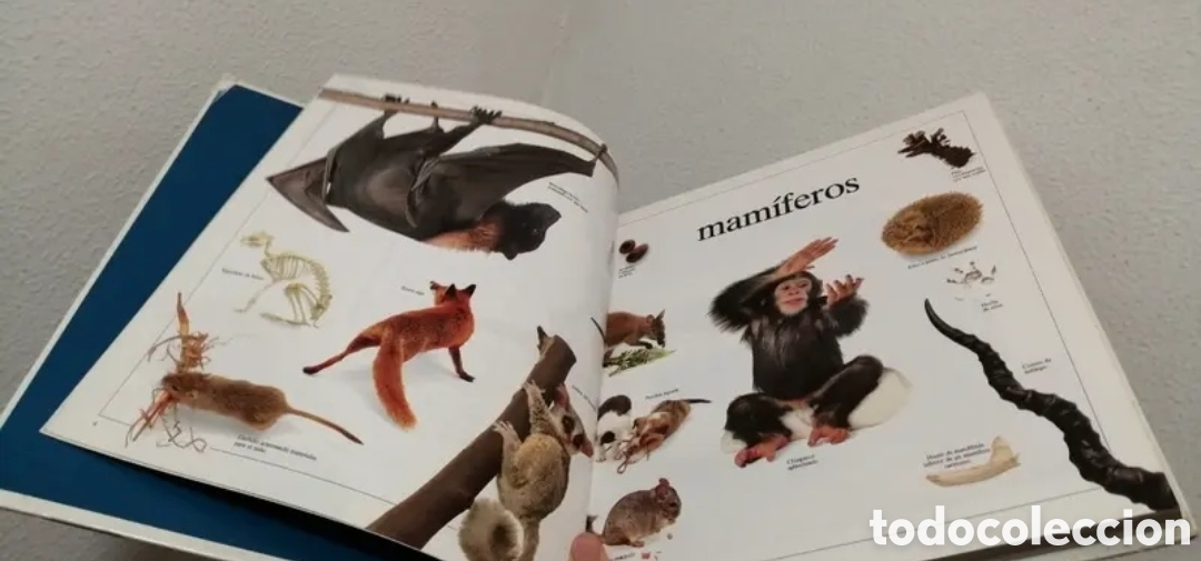 Libros de segunda mano: Enciclopedia visual de los seres vivos Tomo II. - Foto 3