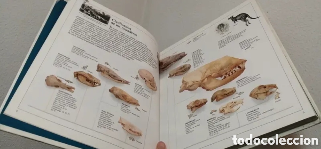 Libros de segunda mano: Enciclopedia visual de los seres vivos Tomo II. - Foto 4