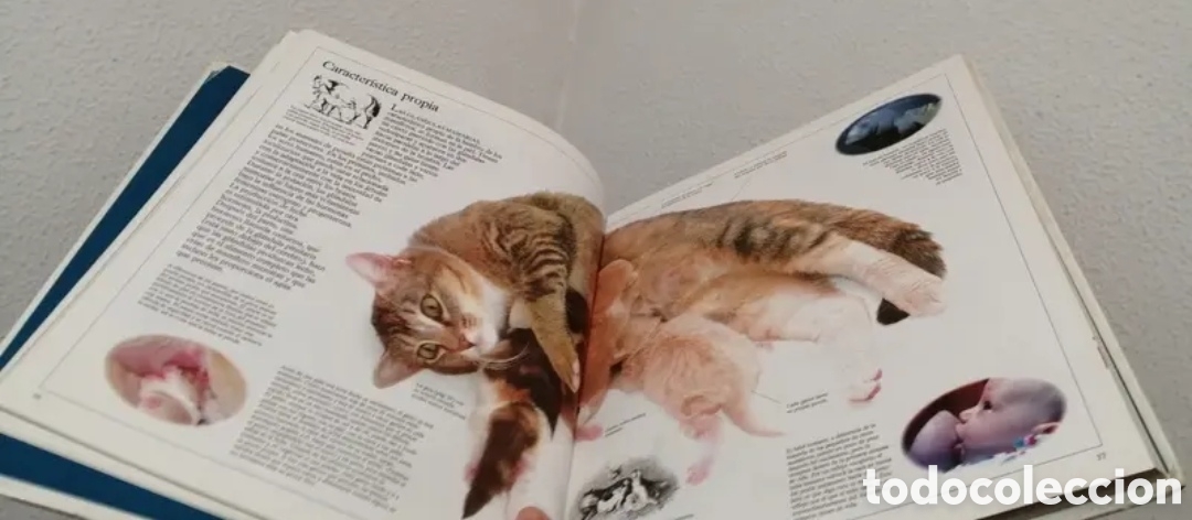 Libros de segunda mano: Enciclopedia visual de los seres vivos Tomo II. - Foto 5
