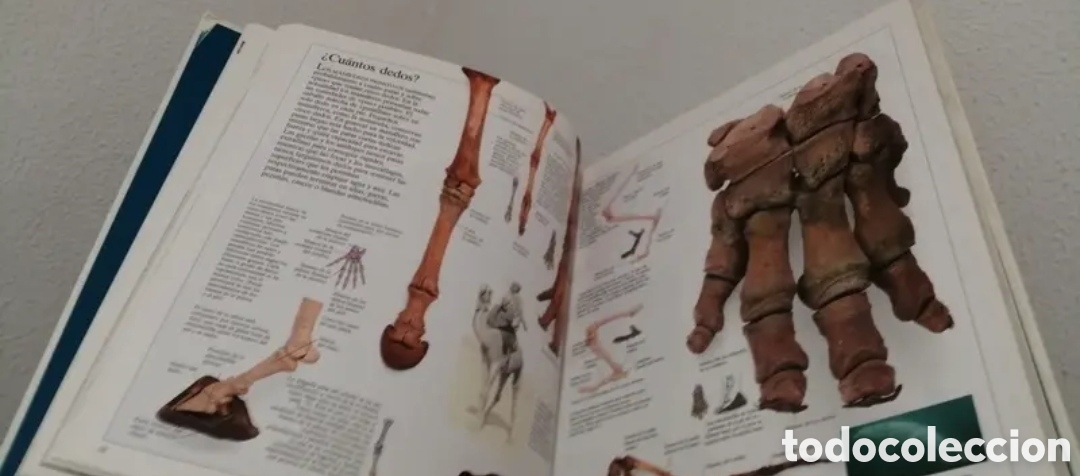 Libros de segunda mano: Enciclopedia visual de los seres vivos Tomo II. - Foto 6