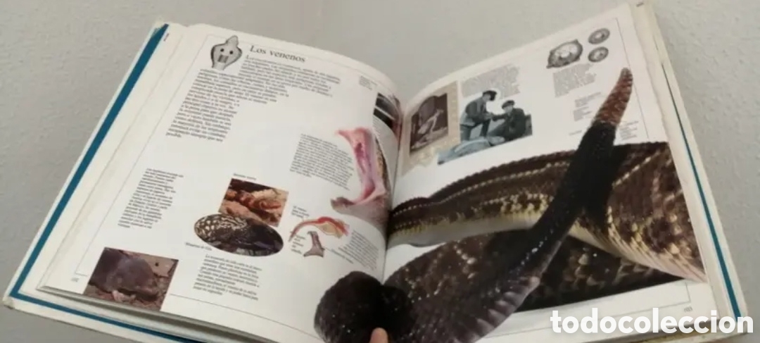 Libros de segunda mano: Enciclopedia visual de los seres vivos Tomo II. - Foto 7