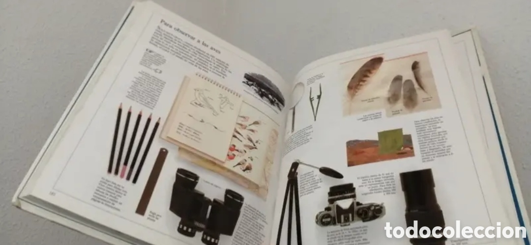 Libros de segunda mano: Enciclopedia visual de los seres vivos Tomo II. - Foto 8