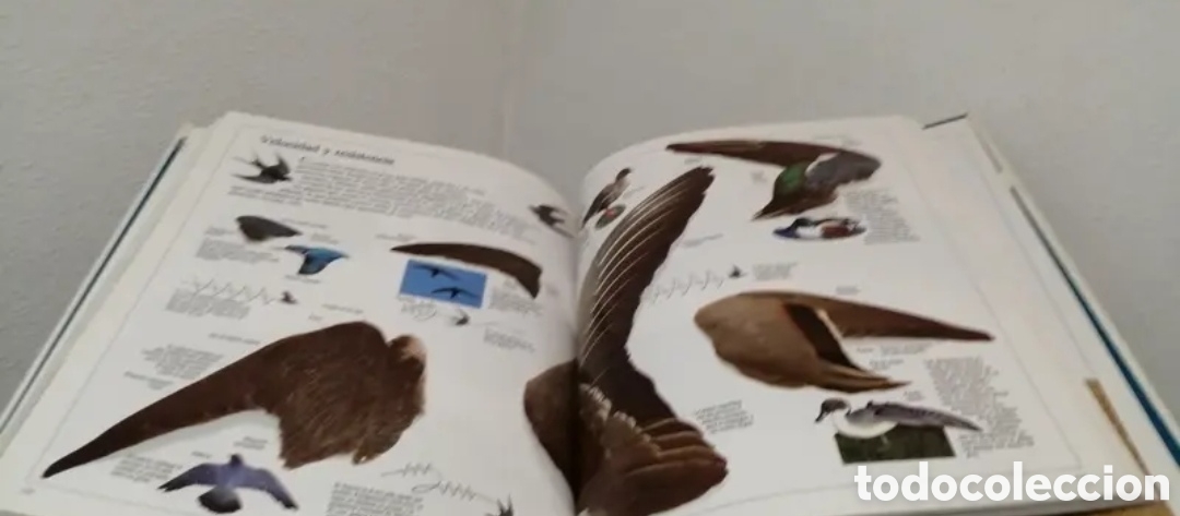 Libros de segunda mano: Enciclopedia visual de los seres vivos Tomo II. - Foto 9