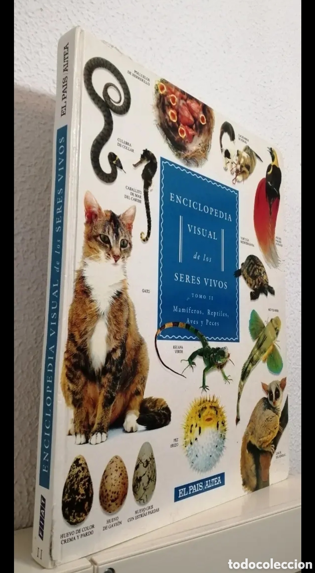 Libros de segunda mano: Enciclopedia visual de los seres vivos Tomo II. - Foto 1
