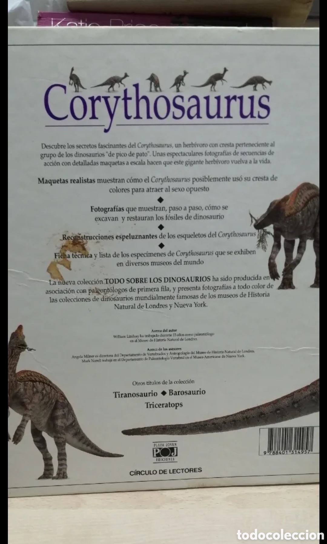Libros de segunda mano: Corythosaurus Dinosaurio con cresta Plaza Joven 1993 - Foto 2