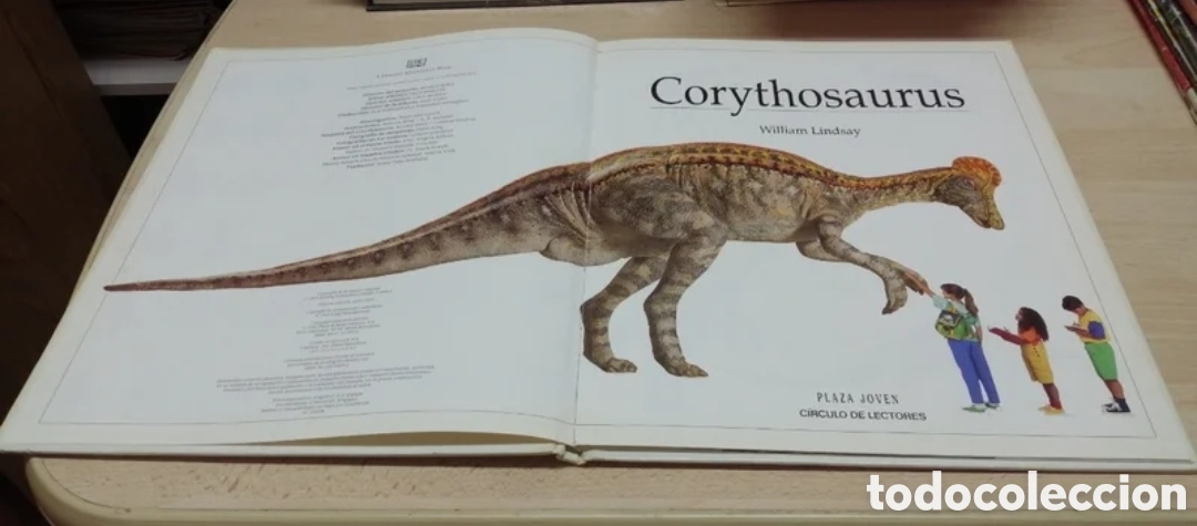 Libros de segunda mano: Corythosaurus Dinosaurio con cresta Plaza Joven 1993 - Foto 3