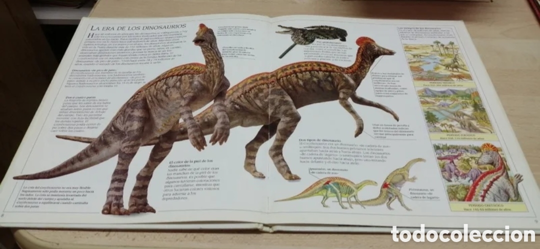Libros de segunda mano: Corythosaurus Dinosaurio con cresta Plaza Joven 1993 - Foto 5