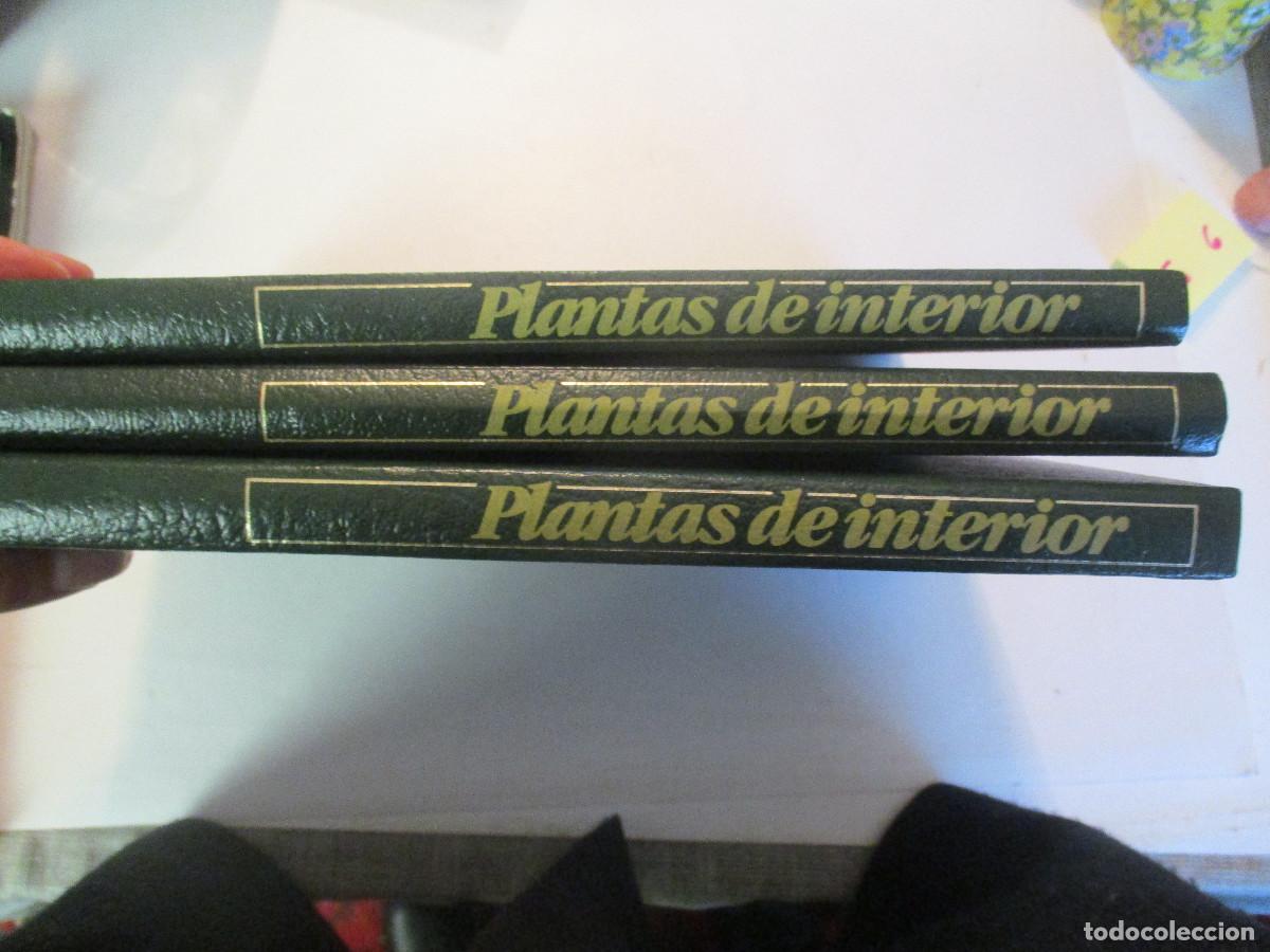 Libros de segunda mano: Plantas de interior, terraza y balc&oacute;n (3 tomos) W25016 - Foto 1