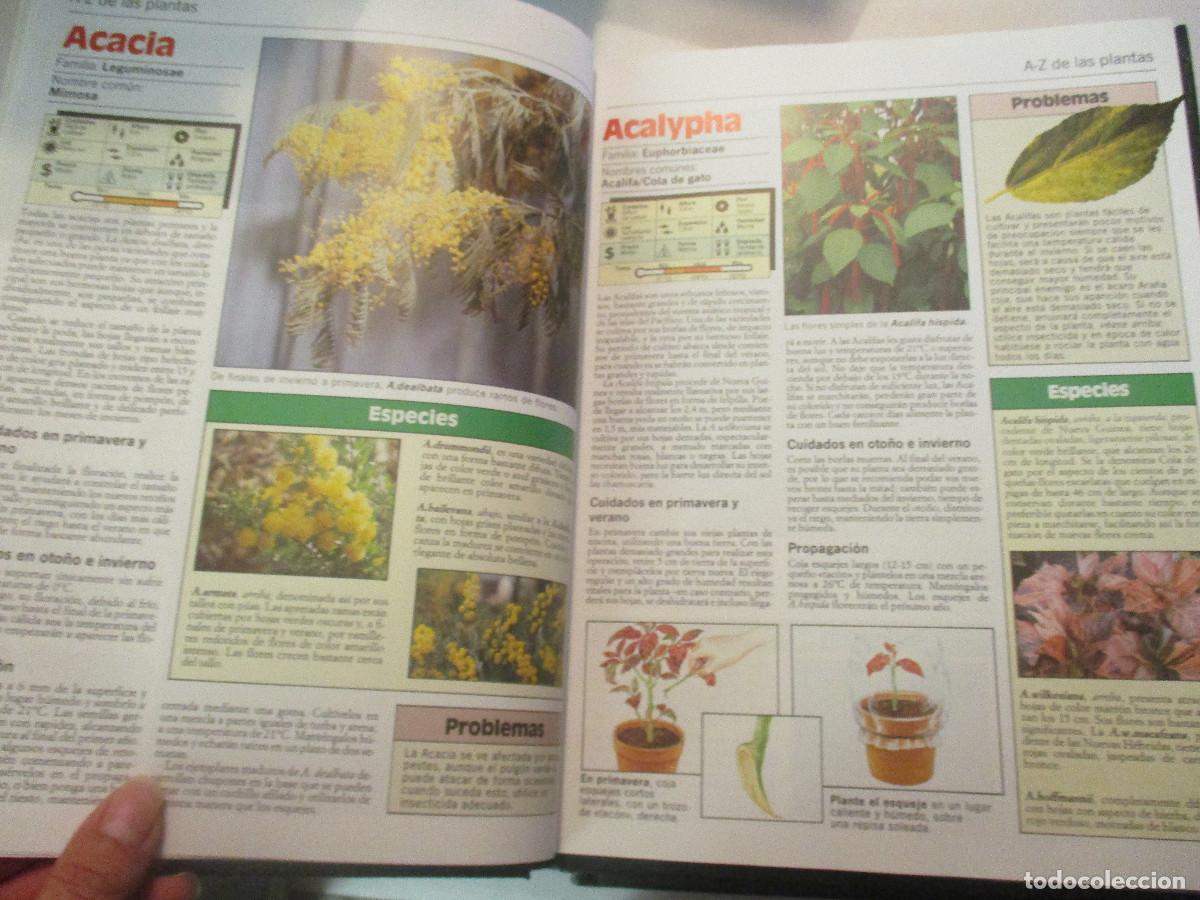 Libros de segunda mano: Plantas de interior, terraza y balc&oacute;n (3 tomos) W25016 - Foto 2