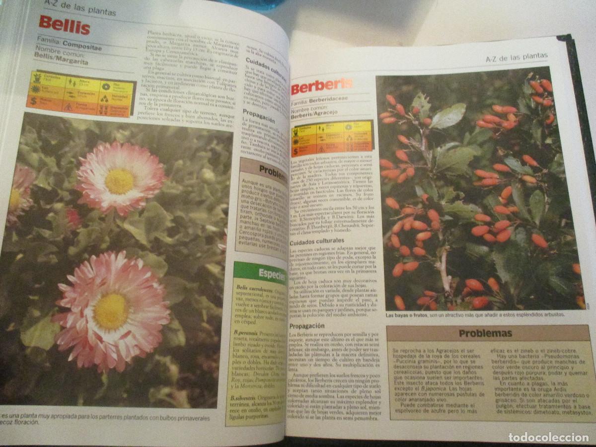 Libros de segunda mano: Plantas de interior, terraza y balc&oacute;n (3 tomos) W25016 - Foto 3