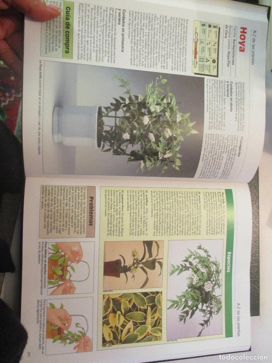 Libros de segunda mano: Plantas de interior, terraza y balc&oacute;n (3 tomos) W25016 - Foto 4