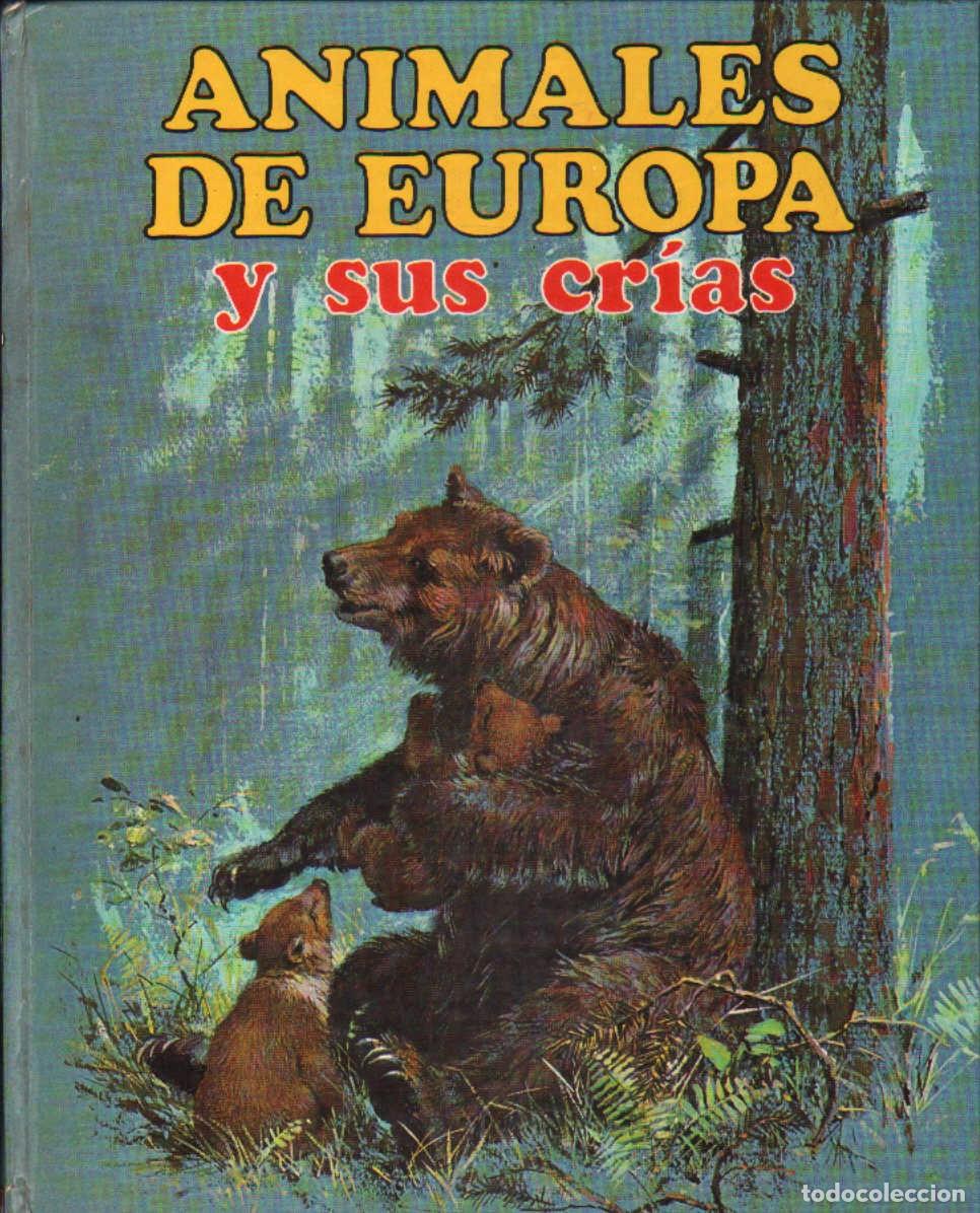 Libri di seconda mano: ANIMALES DE EUROPA Y SUS CRIAS. A-ANIMAL-213