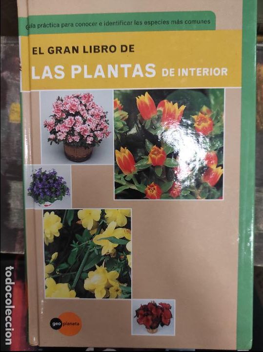 Libros de segunda mano: EL GRAN LIBRO DE LAS PLANTAS DE INTERIOR - MARIA TERESA DELLA BEFFA - Foto 1