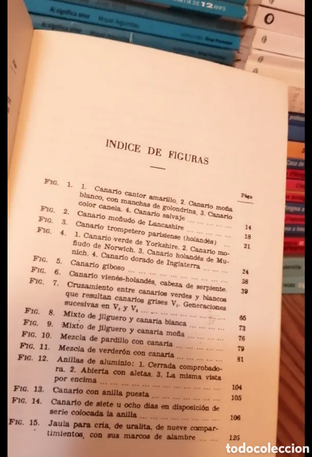 Libros de segunda mano: El canario y su reproducci&oacute;n - Foto 4