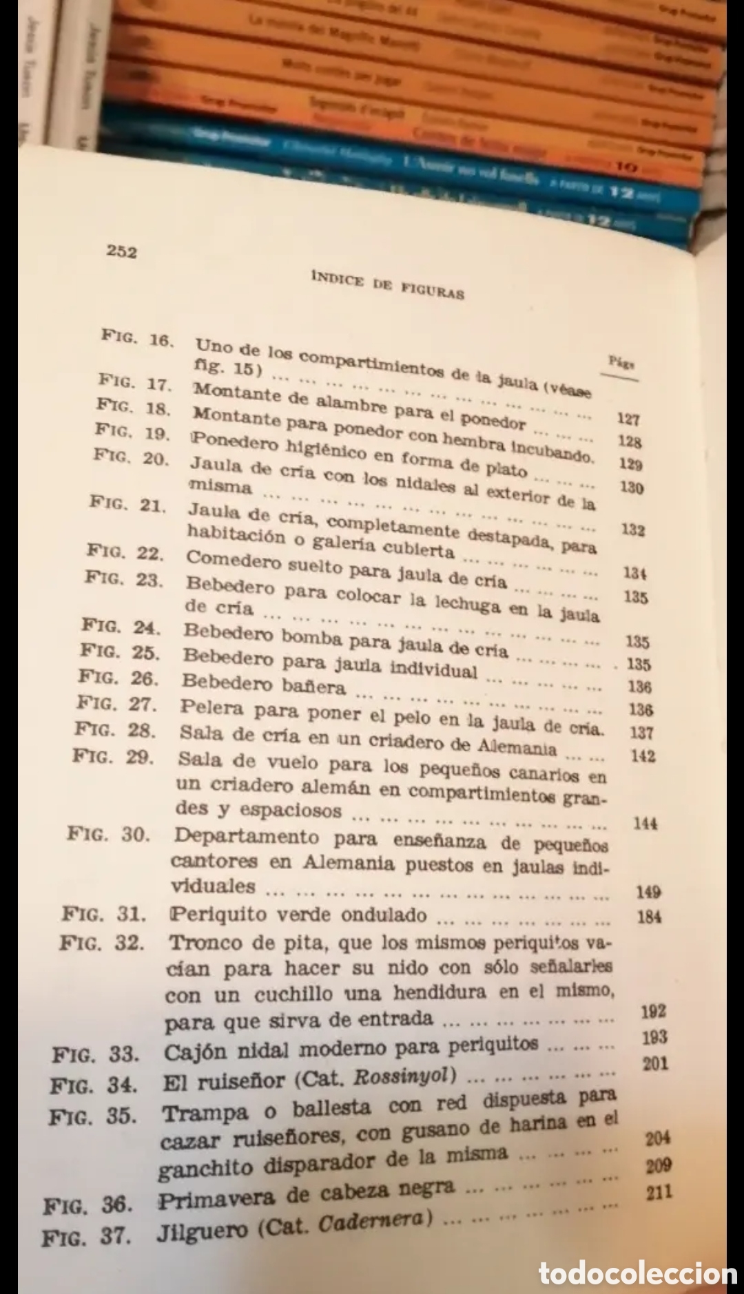 Libros de segunda mano: El canario y su reproducci&oacute;n - Foto 5