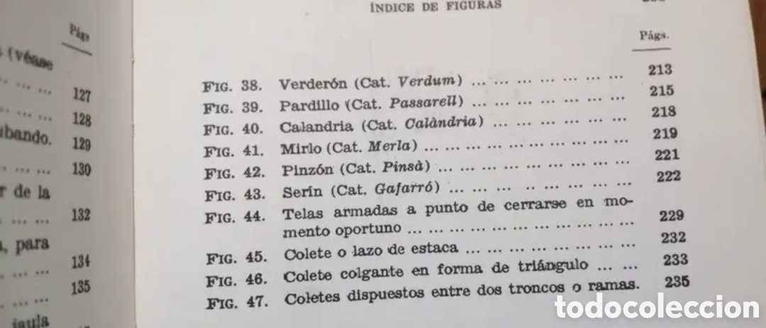 Libros de segunda mano: El canario y su reproducci&oacute;n - Foto 6