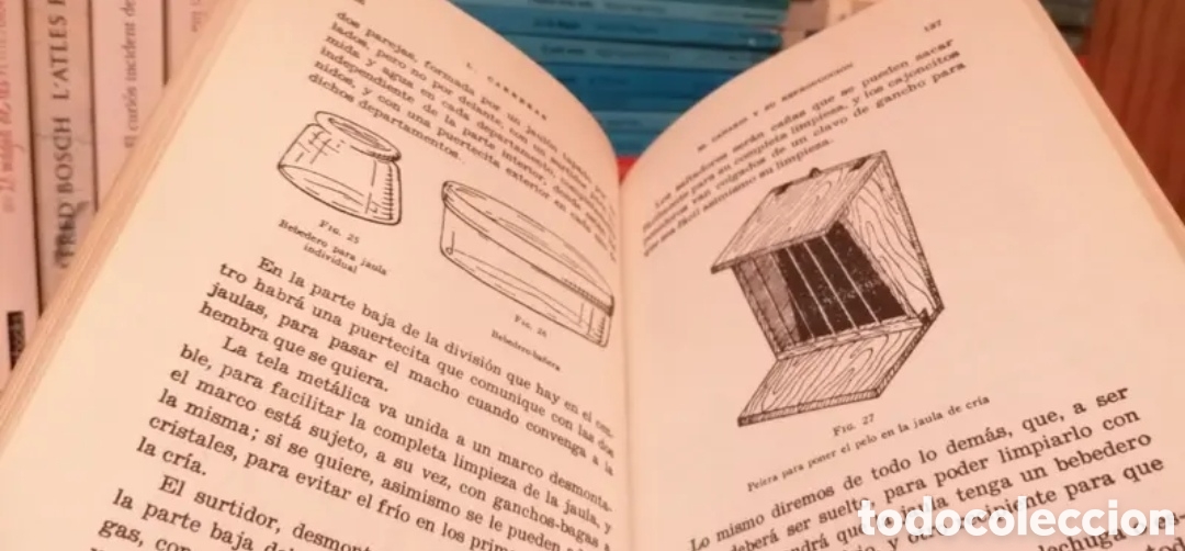 Libros de segunda mano: El canario y su reproducci&oacute;n - Foto 10