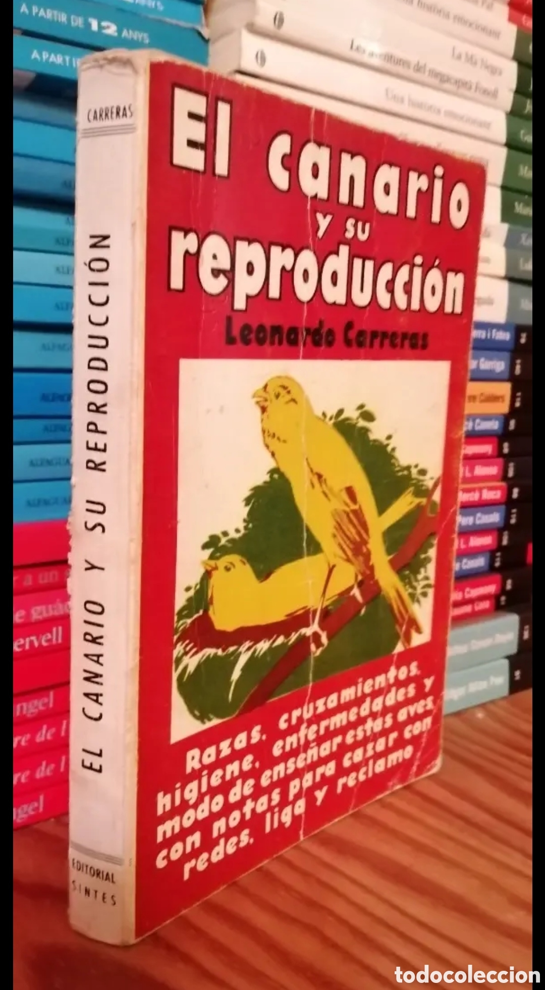 Libros de segunda mano: El canario y su reproducci&oacute;n - Foto 1