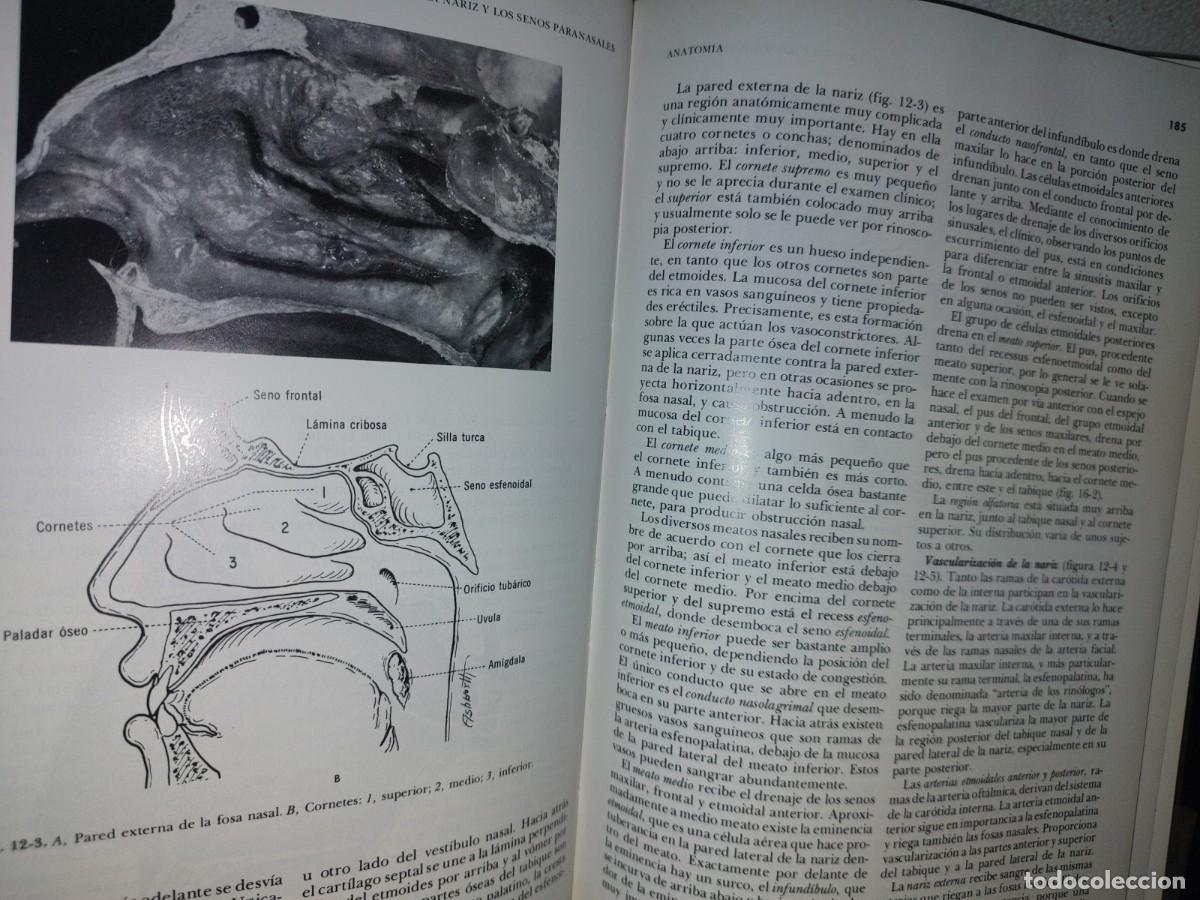 Libros de segunda mano de ciencias: 129- TRATADO DE OTORRINOLARINGOLOG&Iacute;A - DR. DAVID D. DEWEESE - Foto 10