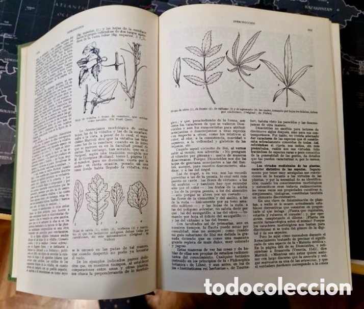 Libros de segunda mano: P. FONT QUER PLANTAS MEDICINALES. EL DIOSCORIDES RENOVADO. - Foto 4
