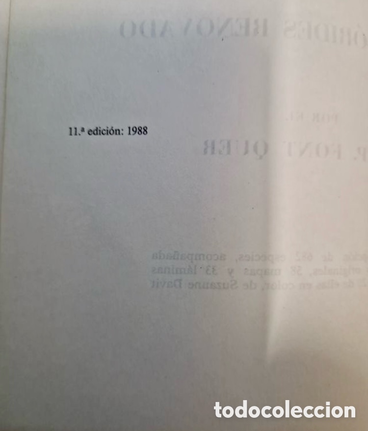 Libros de segunda mano: P. FONT QUER PLANTAS MEDICINALES. EL DIOSCORIDES RENOVADO. - Foto 5
