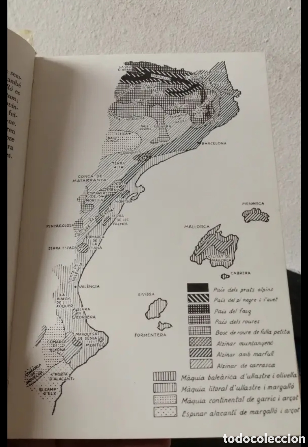 Libros de segunda mano: Gu&iacute;a per con&egrave;ixer els arbusts i les lianes - Foto 3