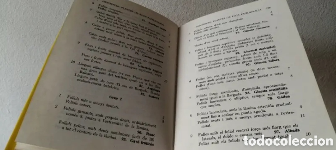 Libros de segunda mano: Gu&iacute;a per con&egrave;ixer els arbusts i les lianes - Foto 9