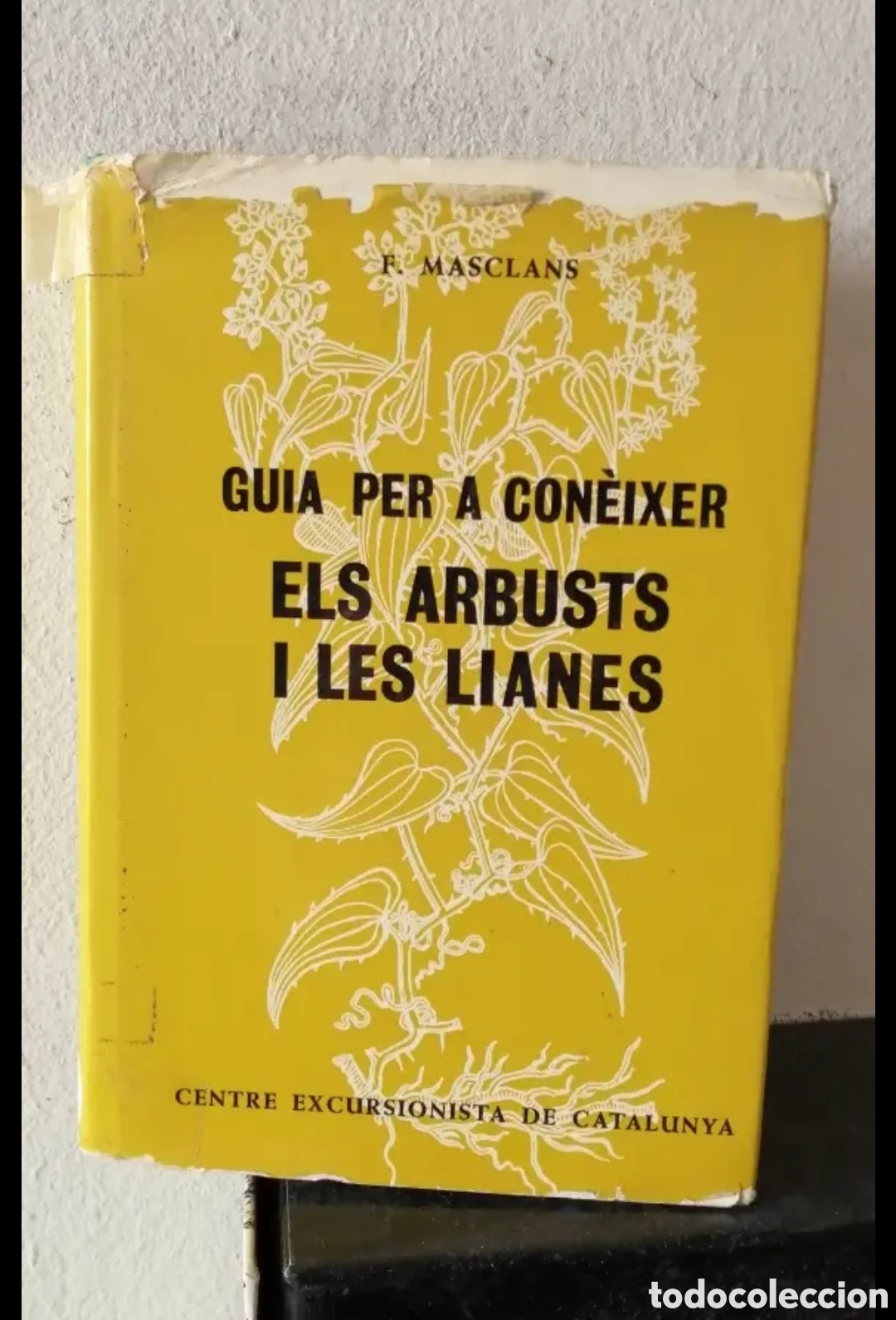 Libros de segunda mano: Gu&iacute;a per con&egrave;ixer els arbusts i les lianes - Foto 1