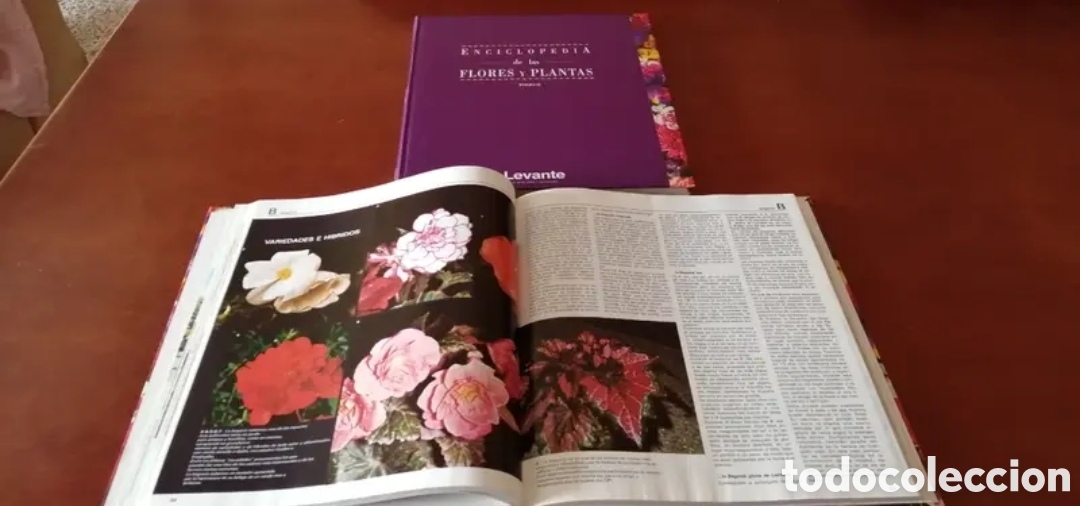 Libri di seconda mano: Enciclopedia de flores y plantas