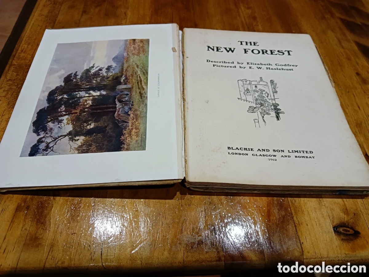 Libros de segunda mano: The New Forrest. En ingl&eacute;s. - Foto 3