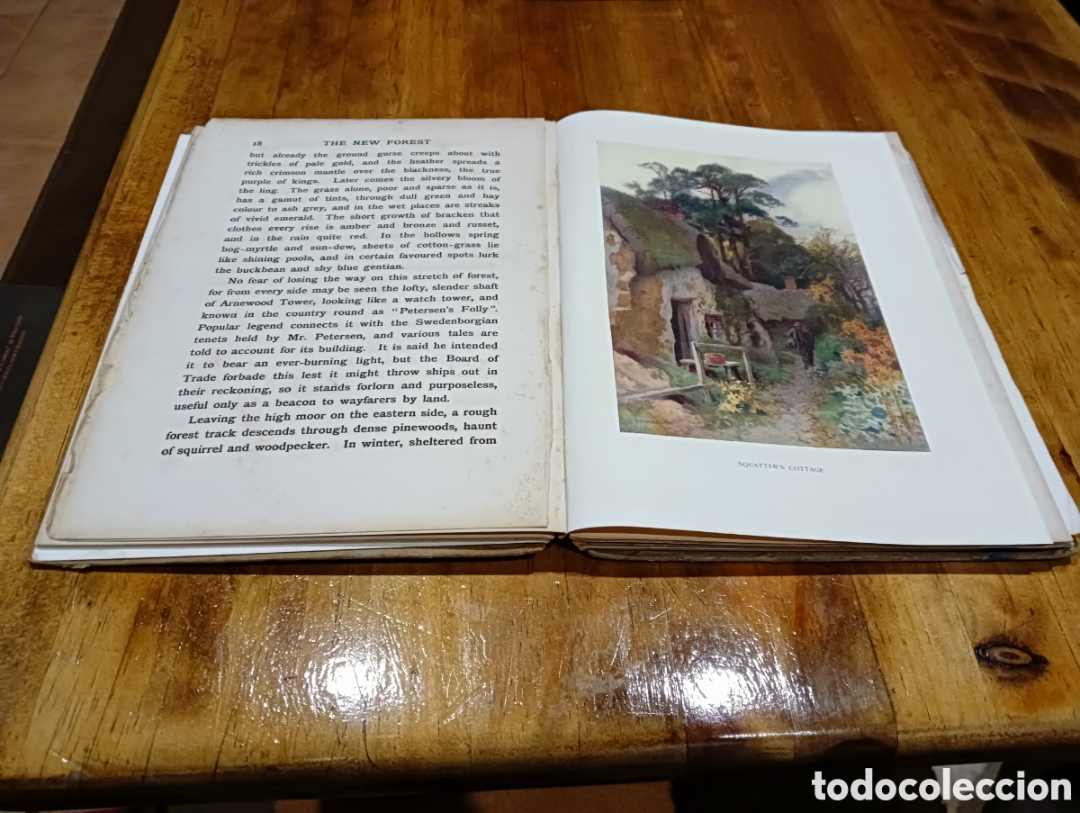 Libros de segunda mano: The New Forrest. En ingl&eacute;s. - Foto 4