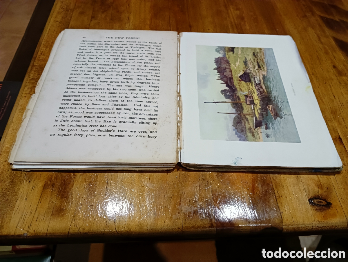 Libros de segunda mano: The New Forrest. En ingl&eacute;s. - Foto 5