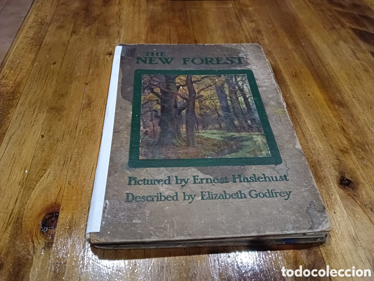 Libros de segunda mano: The New Forrest. En ingl&eacute;s. - Foto 1