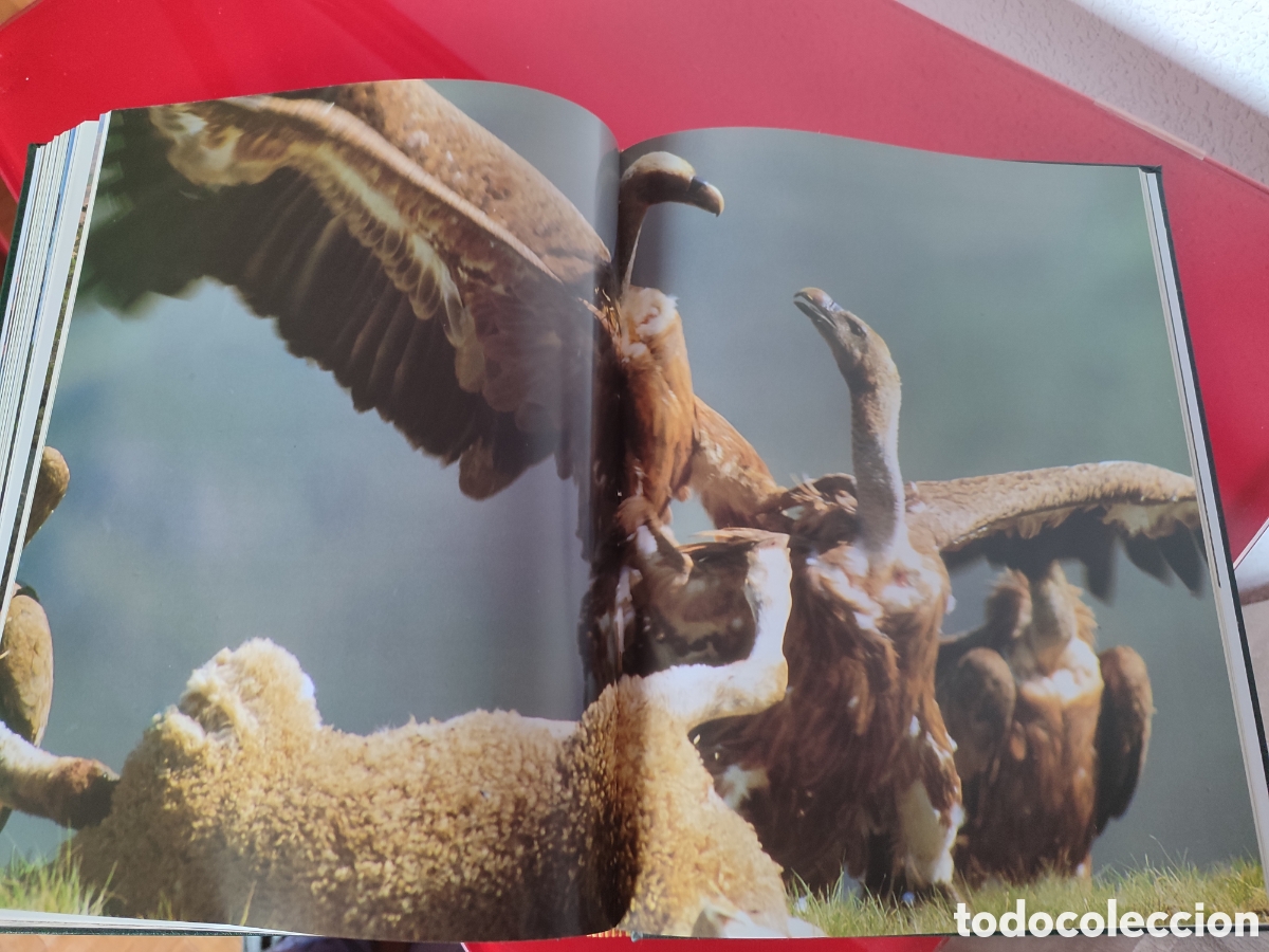 Libros de segunda mano: Parques naturales - Foto 14