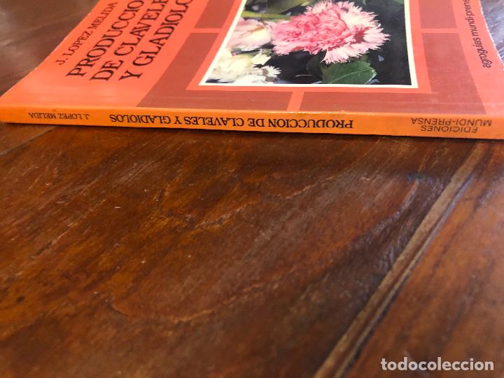 Libros de segunda mano: PRODUCCION DE CLAVELES Y GLADIOLOS. L&Oacute;PEZ MELIDA, J. - Foto 2