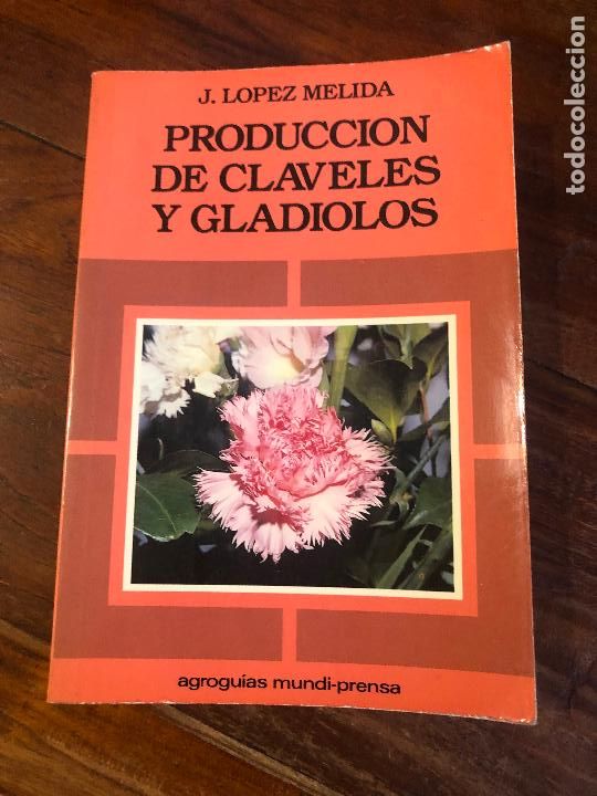 Libros de segunda mano: PRODUCCION DE CLAVELES Y GLADIOLOS. L&Oacute;PEZ MELIDA, J. - Foto 1