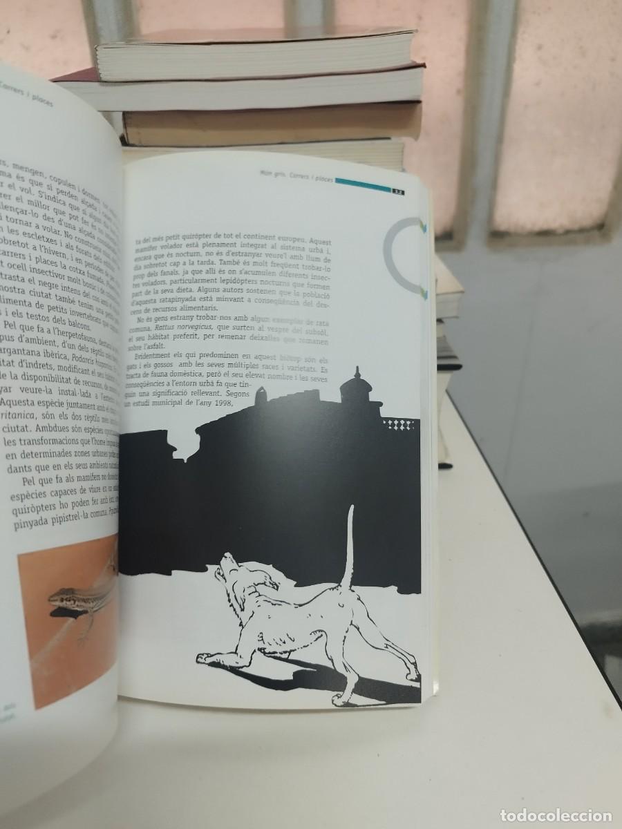 Libros de segunda mano: Barcelona biodiversitat urbana, Mart&iacute; Boada. Laia Capdevila. UAB. - Foto 4