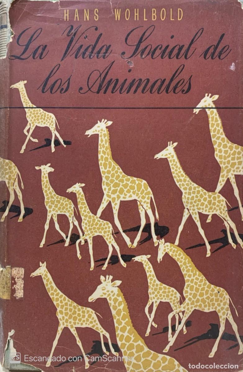 Libros de segunda mano: LA VIDA SOCIAL DE LOS ANIMALES Hans Wohlbold - Foto 1
