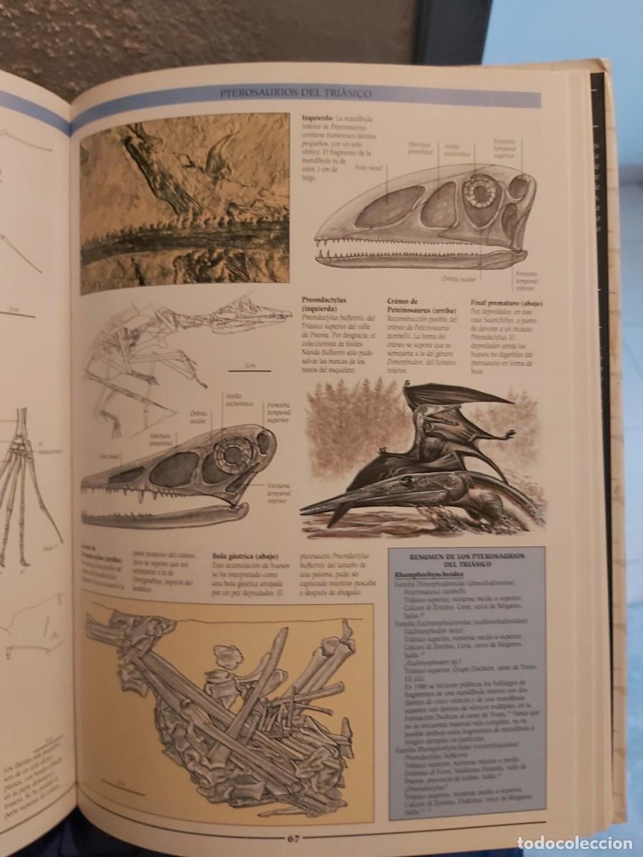 Libros de segunda mano: ENCICLOPEDIA ILUSTRADA DE LOS PTEROSAURIOS - Foto 2