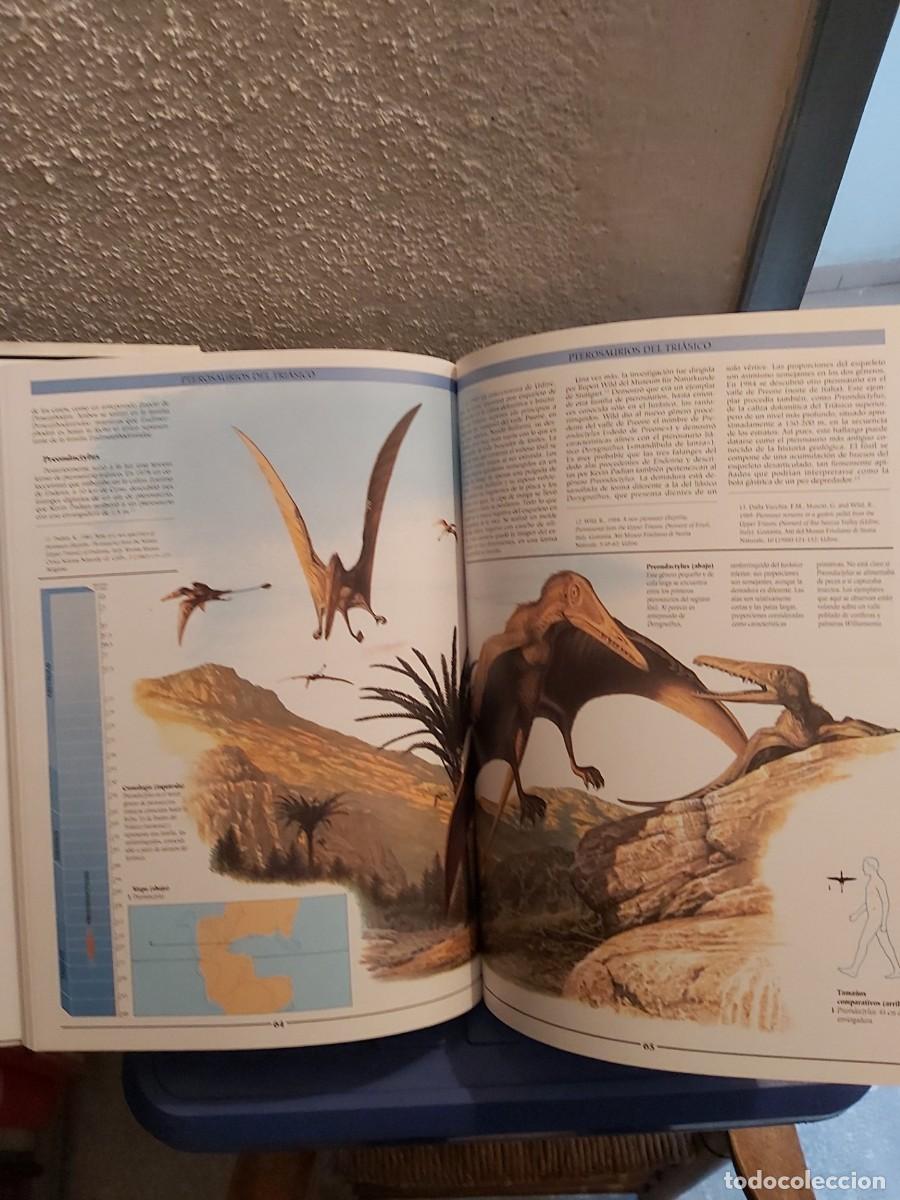 Libros de segunda mano: ENCICLOPEDIA ILUSTRADA DE LOS PTEROSAURIOS - Foto 3