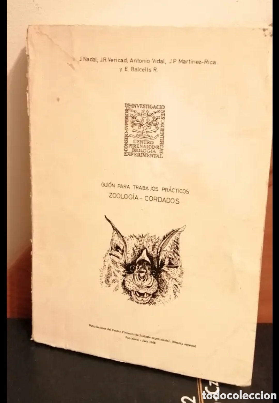 Gebrauchte B&uuml;cher: Zoolog&iacute;a Cordados. Gui&oacute;n para trabajos pr&aacute;cticos